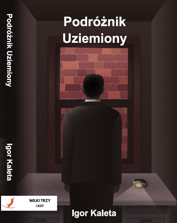 Podróżnik uziemiony